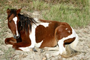 1159 slightly edited