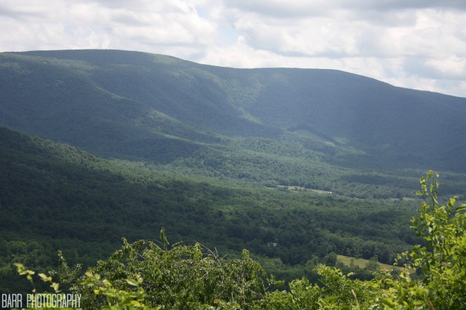 Library Programs and Walters Reunion 2013 083 with label