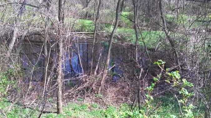 WP_20170413_14_58_52_Pro