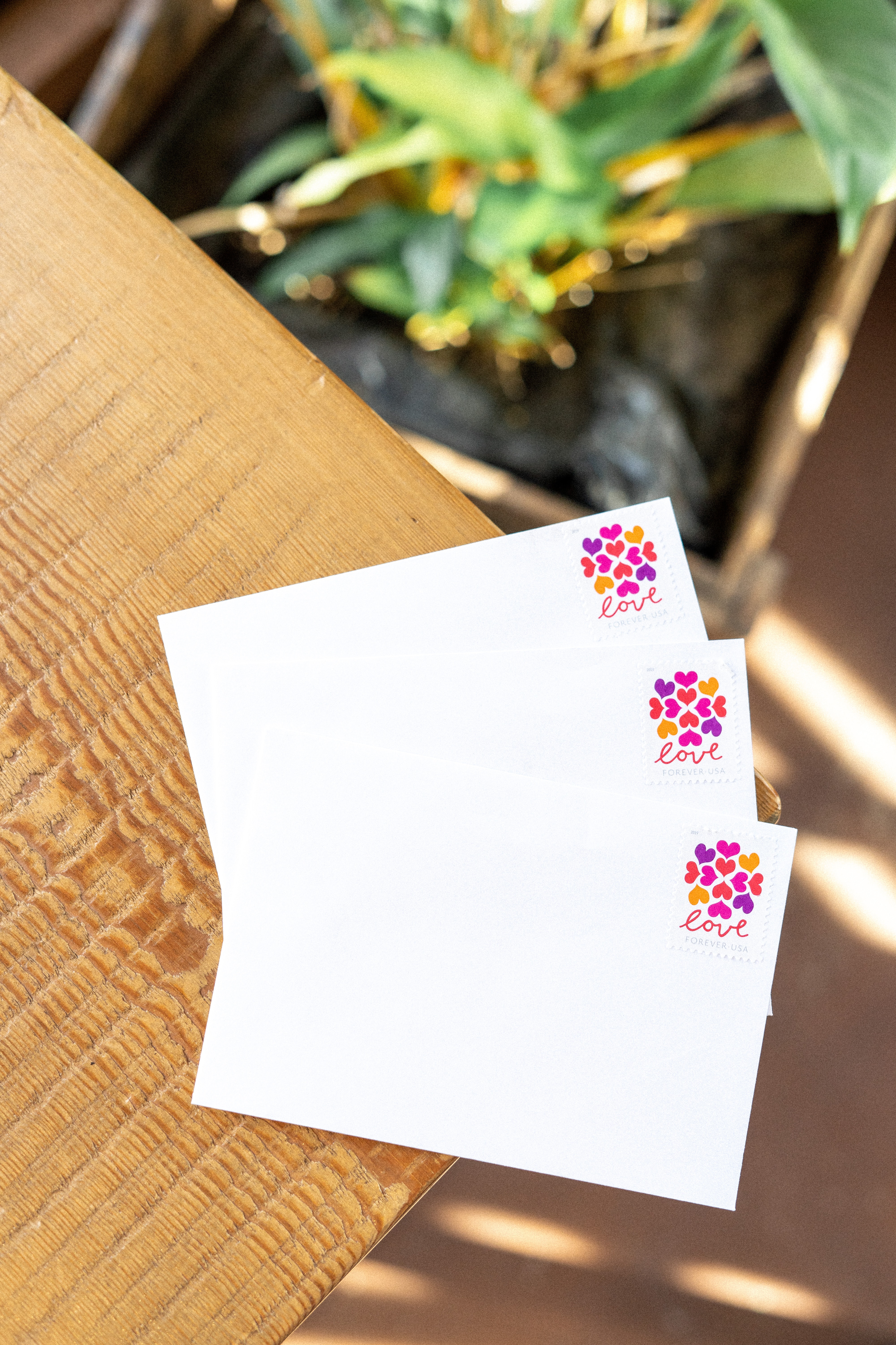 allie-lwBGR9xsrXc-unsplash